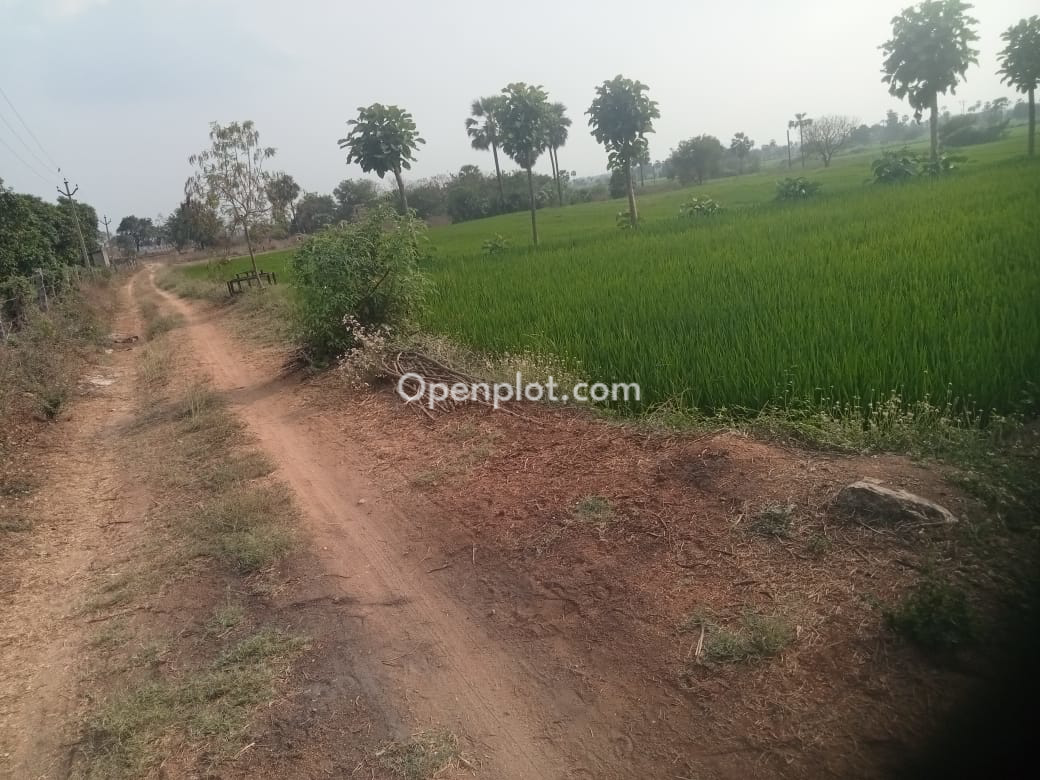 Land for Sale in Naskal,Jangoan