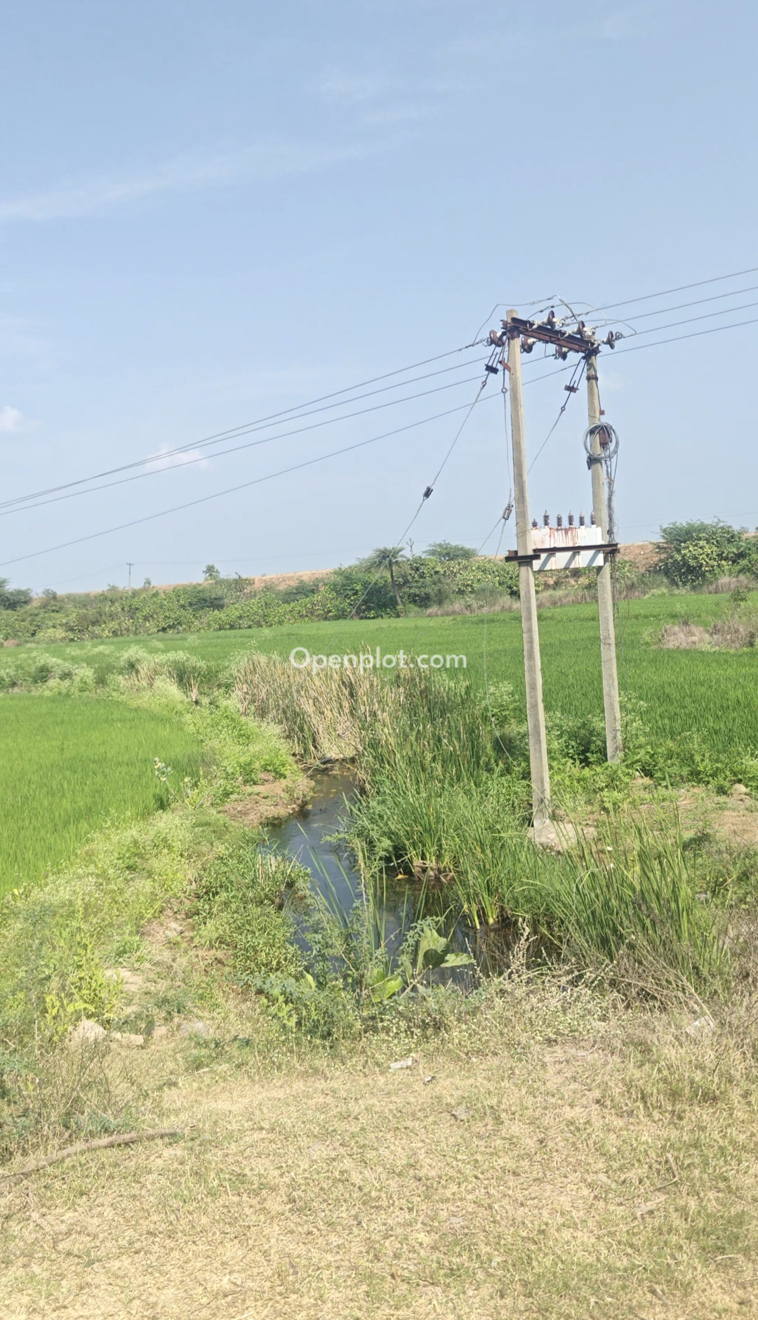 Land for Sale in Tadakamalla,Nalgonda