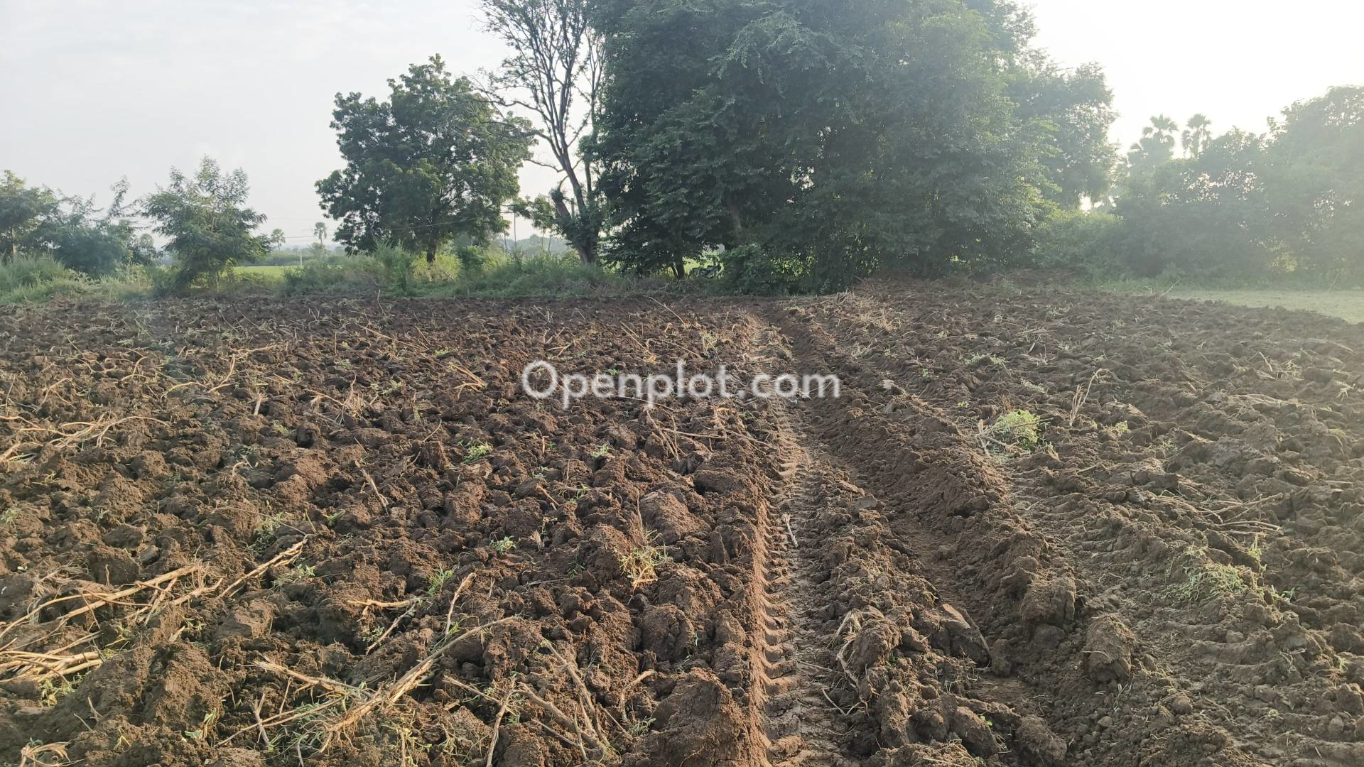 Land for Sale in Peddapalli,Peddapalli