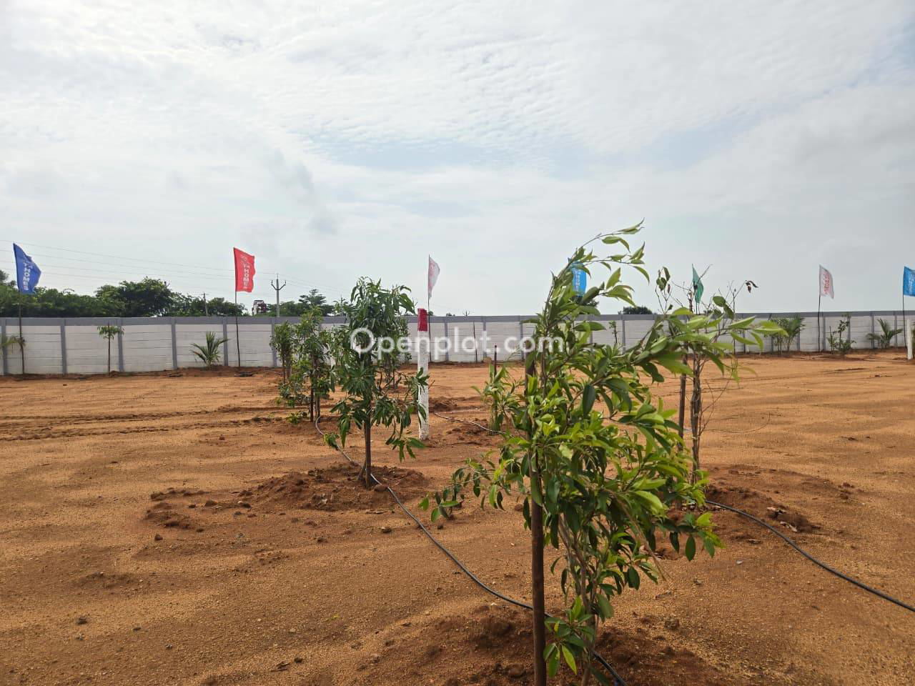Plot for Sale in Harshaguda,Ranga Reddy