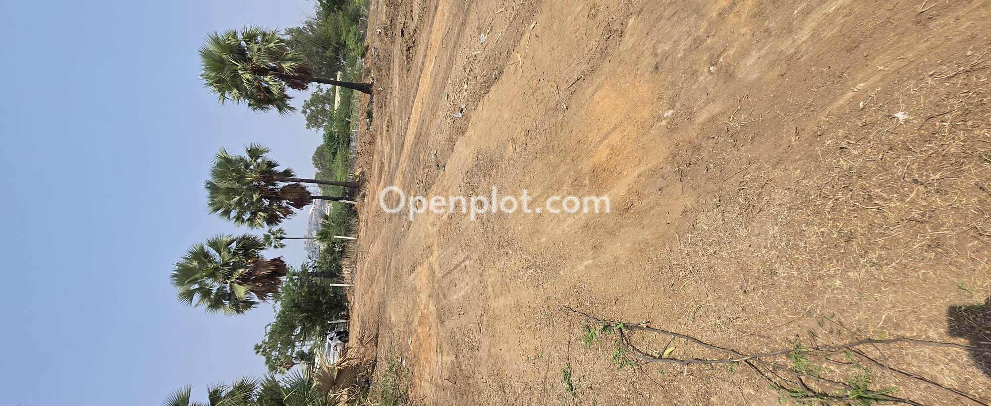 Plot for Sale in Yadagirigutta,Yadadri Bhuvanagiri