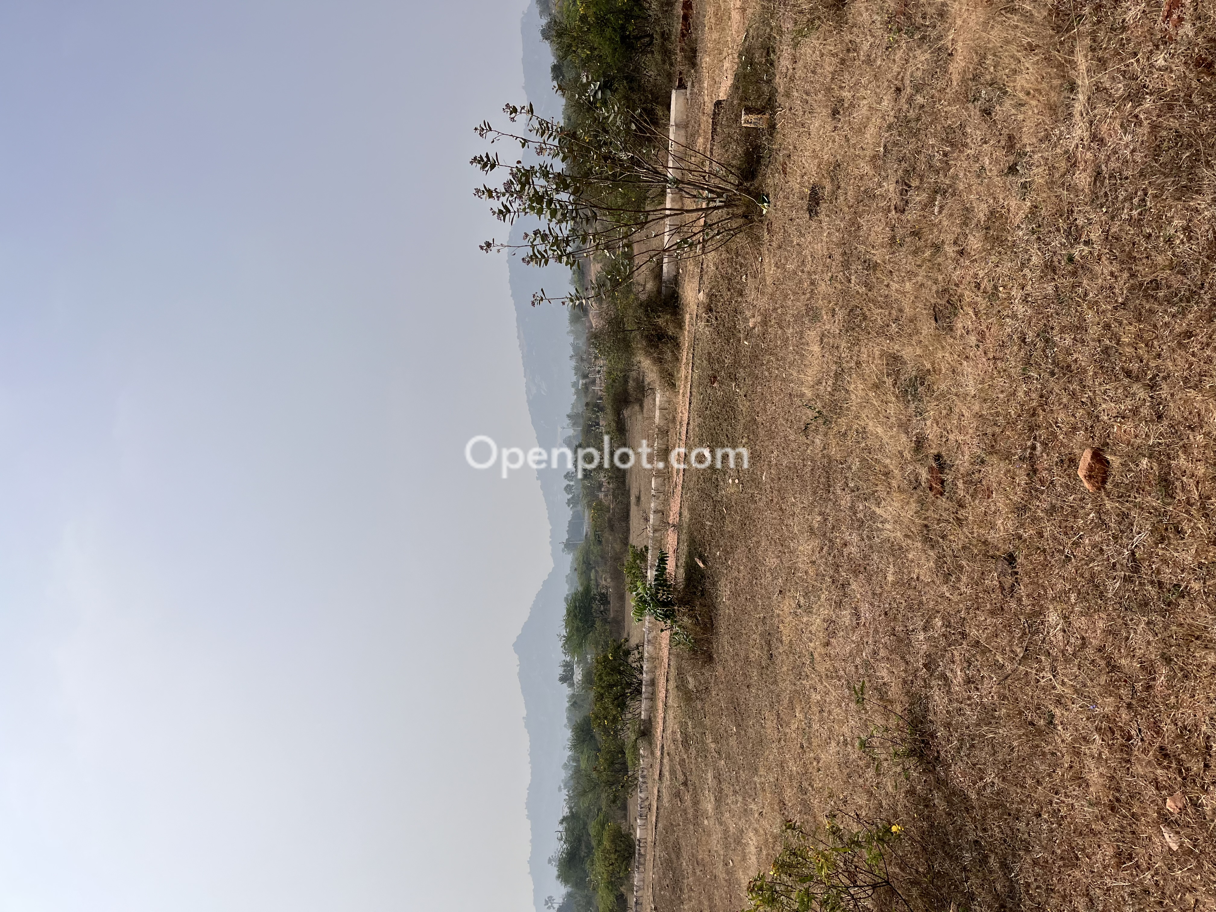 Plot for Sale in Yadagirigutta,Yadadri Bhuvanagiri