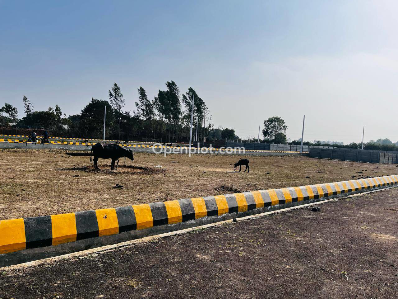 Plot for Sale in Triveni Nagar,Lucknow