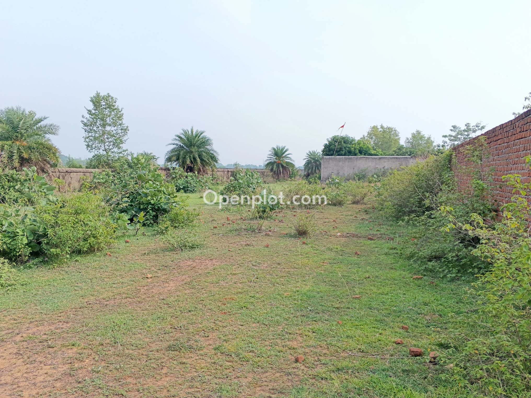 Plot for Sale in Giridih,Giridih