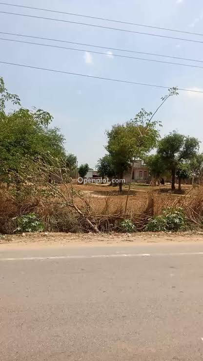 Plot for Sale in Khatushyamjika,Sikar