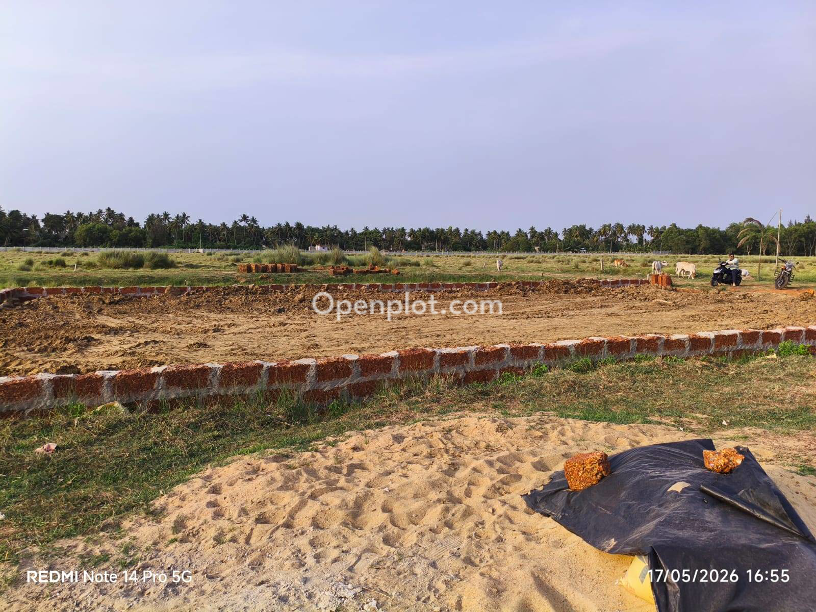 Plot for Sale in Rasulgarh,Khordha