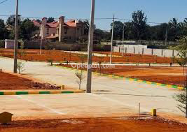 Land for Sale in Panthani,Hanumakonda