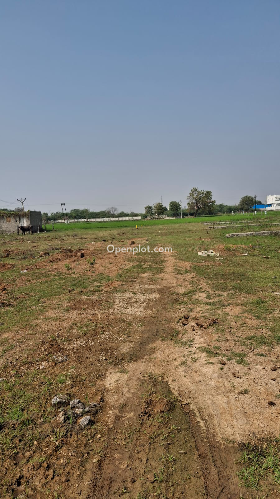 Land for Sale in Karimnagar,Karimnagar