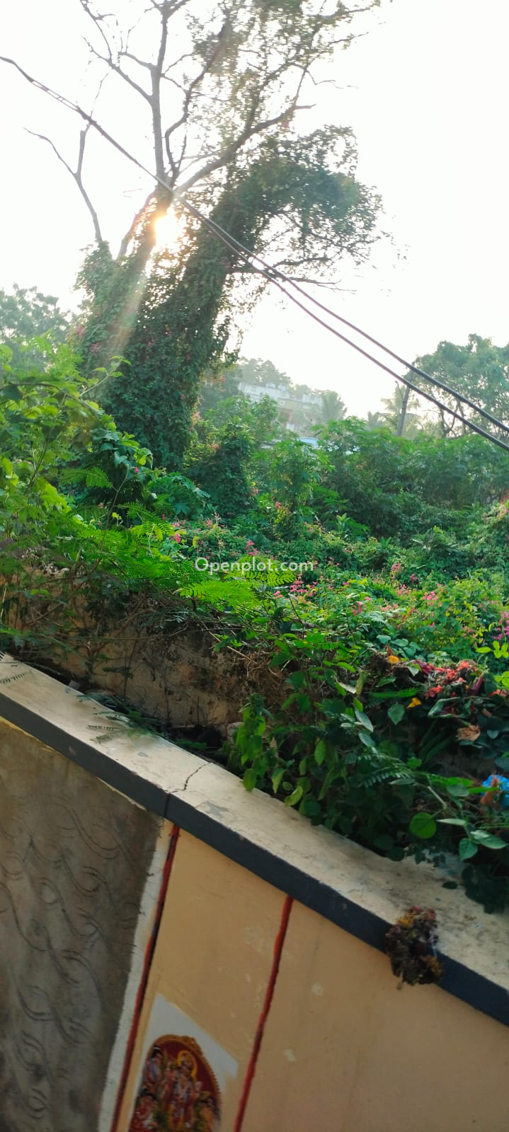 Plot for Sale in Guduru,Krishna
