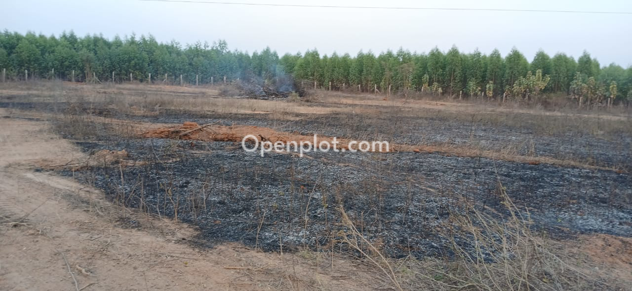 Land for Sale in Bommalramaram,Yadadri Bhuvanagiri