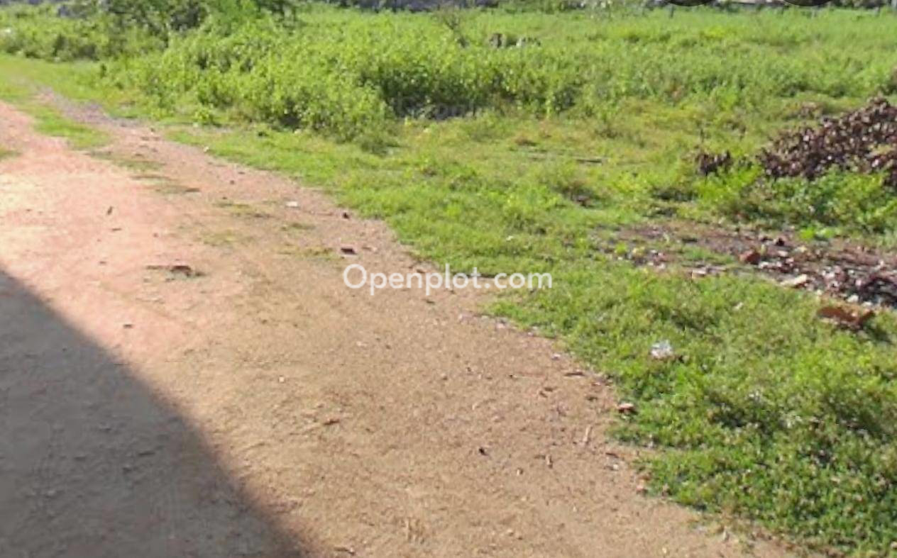 Plot for Sale in Nakrekal,Nalgonda