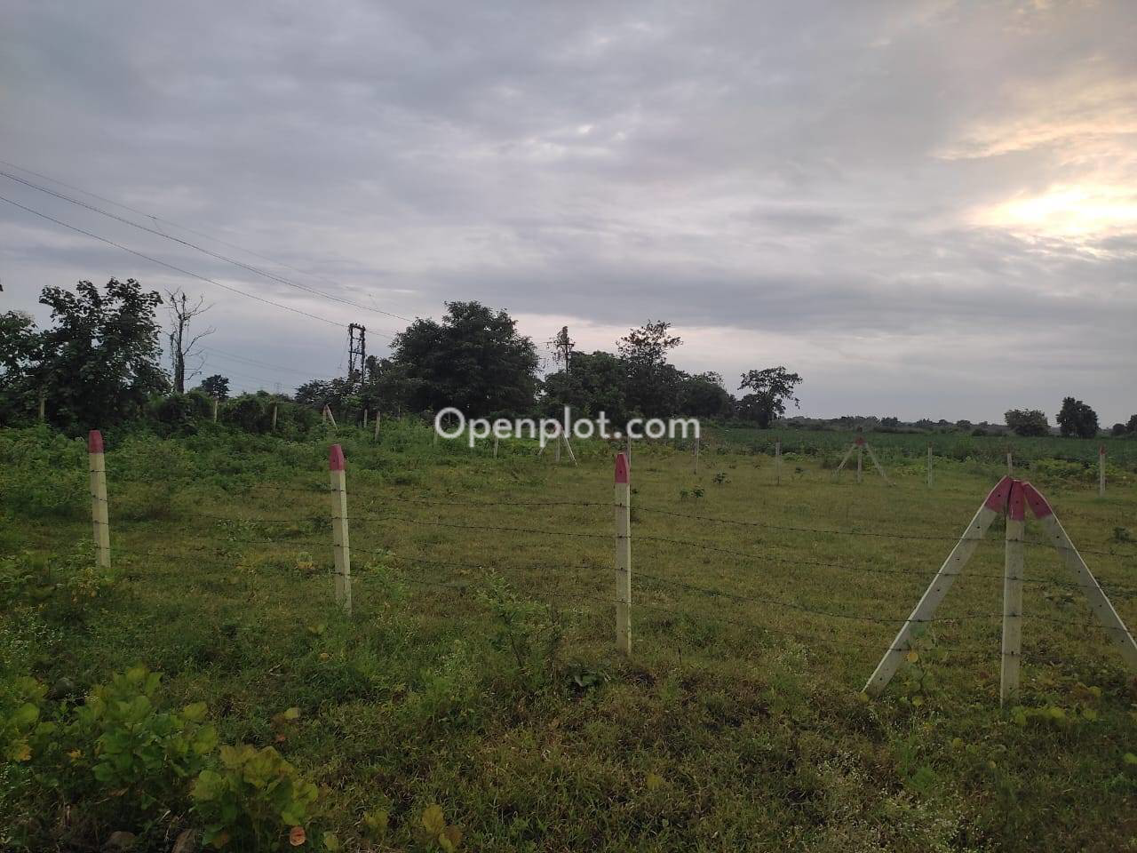 Plot for Sale in Industrial Area Butibori,Nagpur