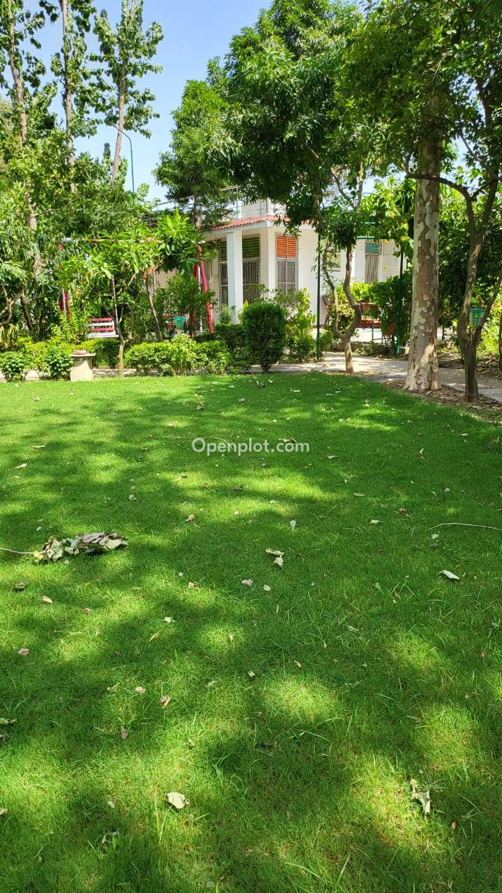 Plot for Sale in Nigohan,Lucknow
