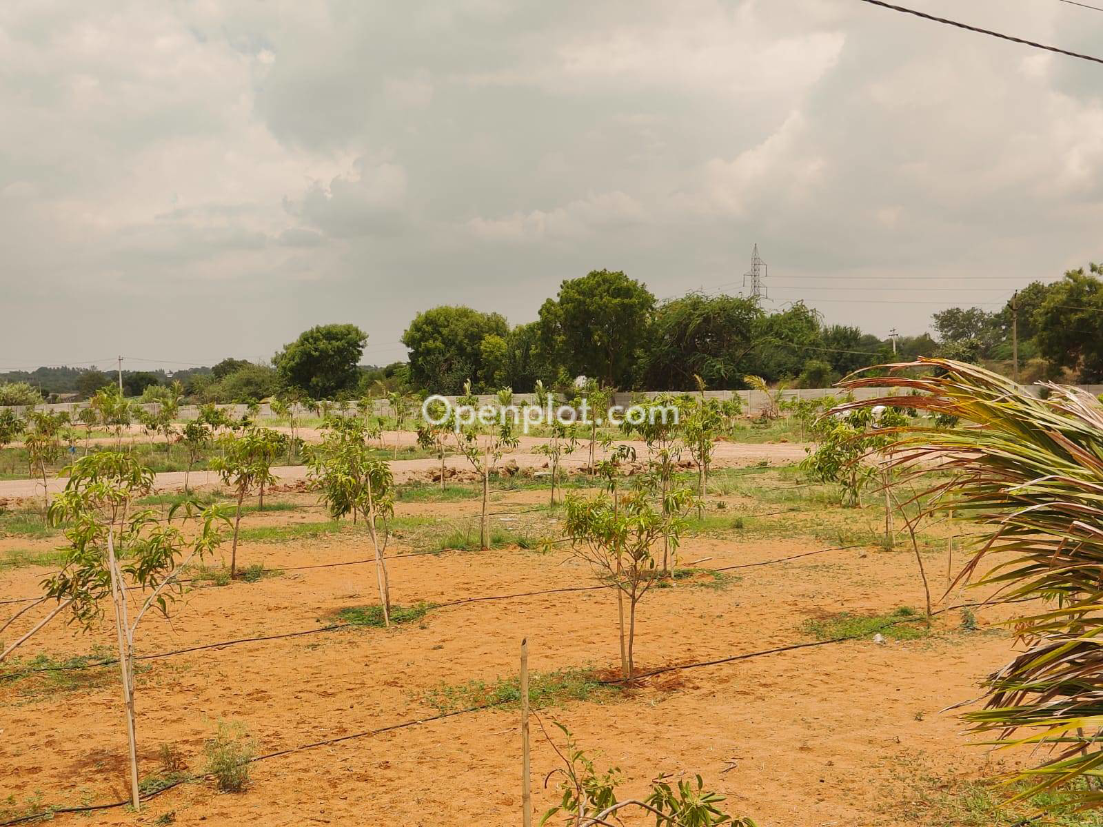 Plot for Sale in Keesara,Medchal Malkajgiri