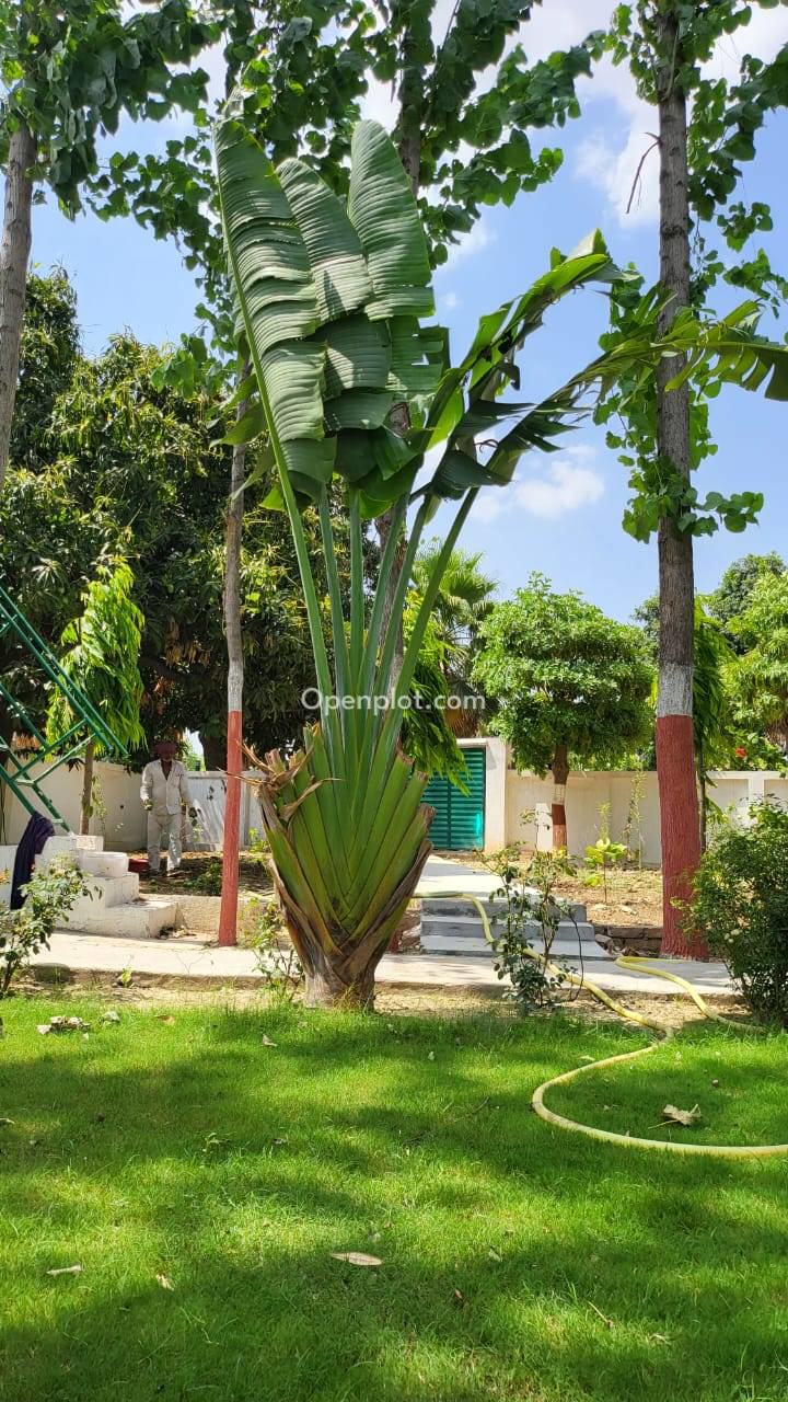 Plot for Sale in Kerakat,Jaunpur