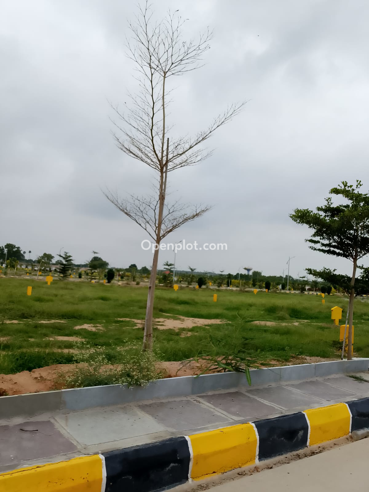 Plot for Sale in Shamshabad,Ranga Reddy