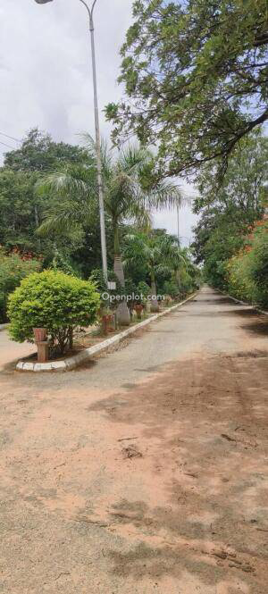 Plot for Sale in Rachaloor,Ranga Reddy