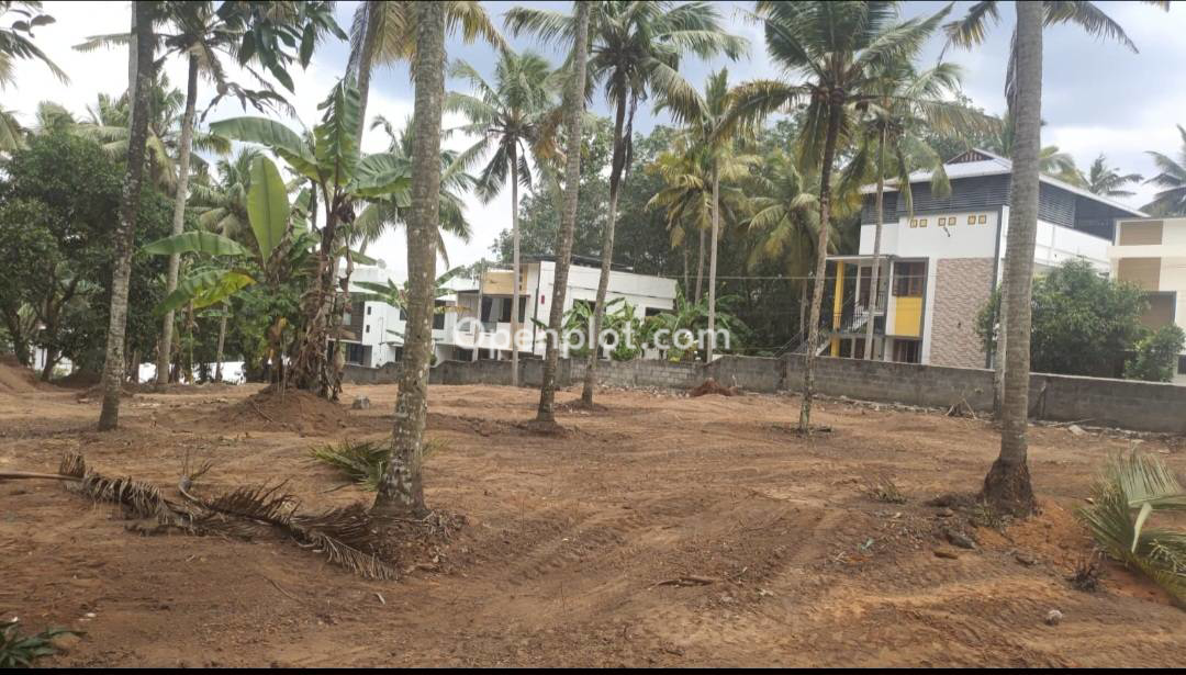 Plot for Sale in Mannanathala,Thiruvananthapuram