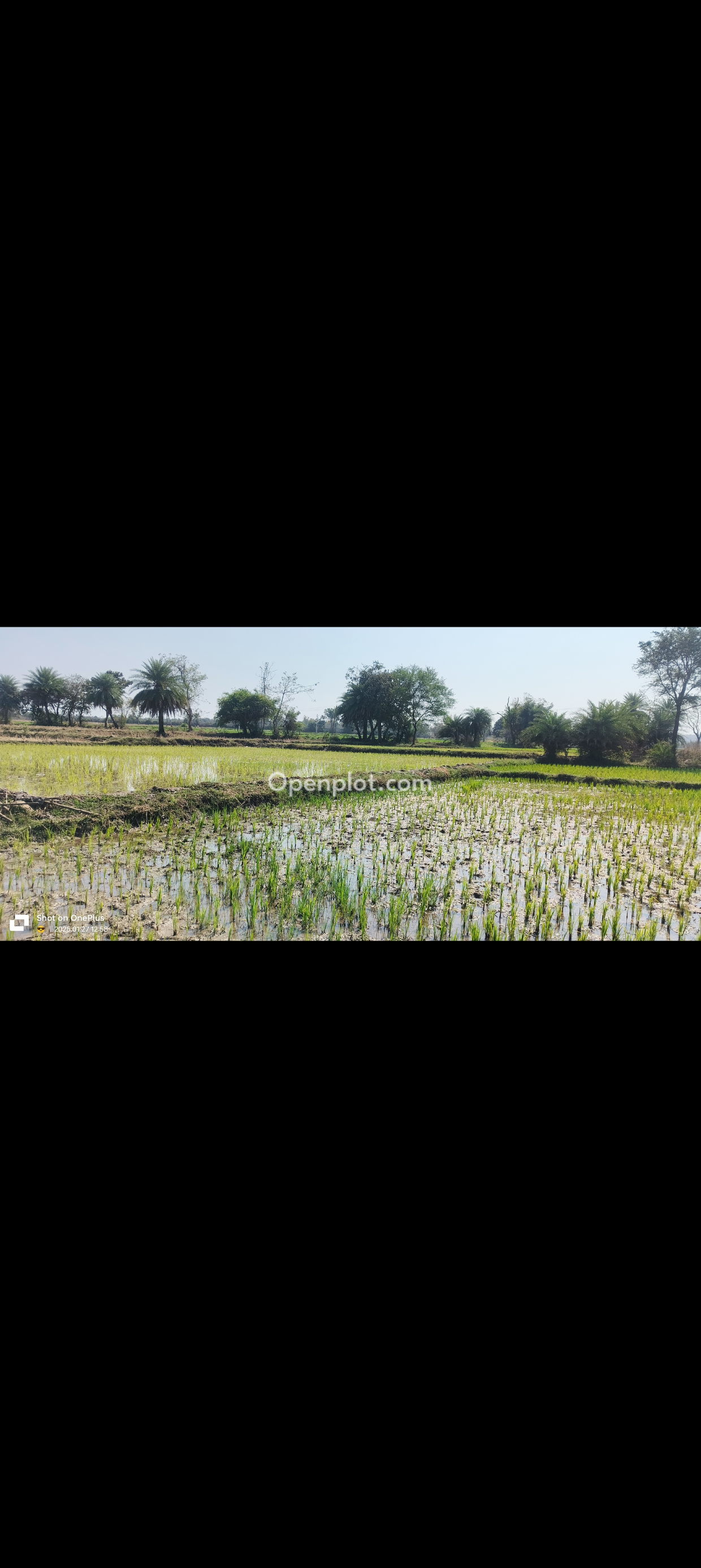 Land for Sale in Tuniki,Siddipet