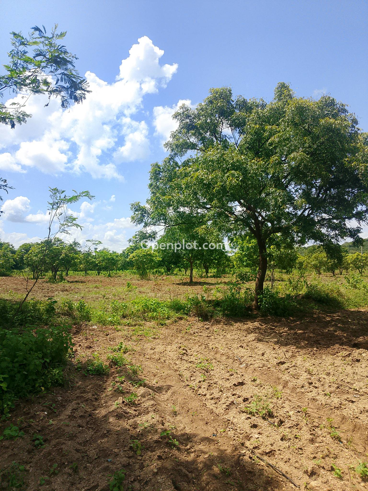 Land for Sale in Mandelagudem,Jangoan