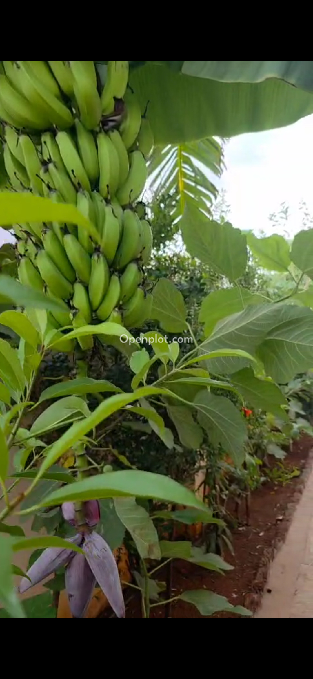 Other for Sale in Kattedan I.E., Ranga Reddy