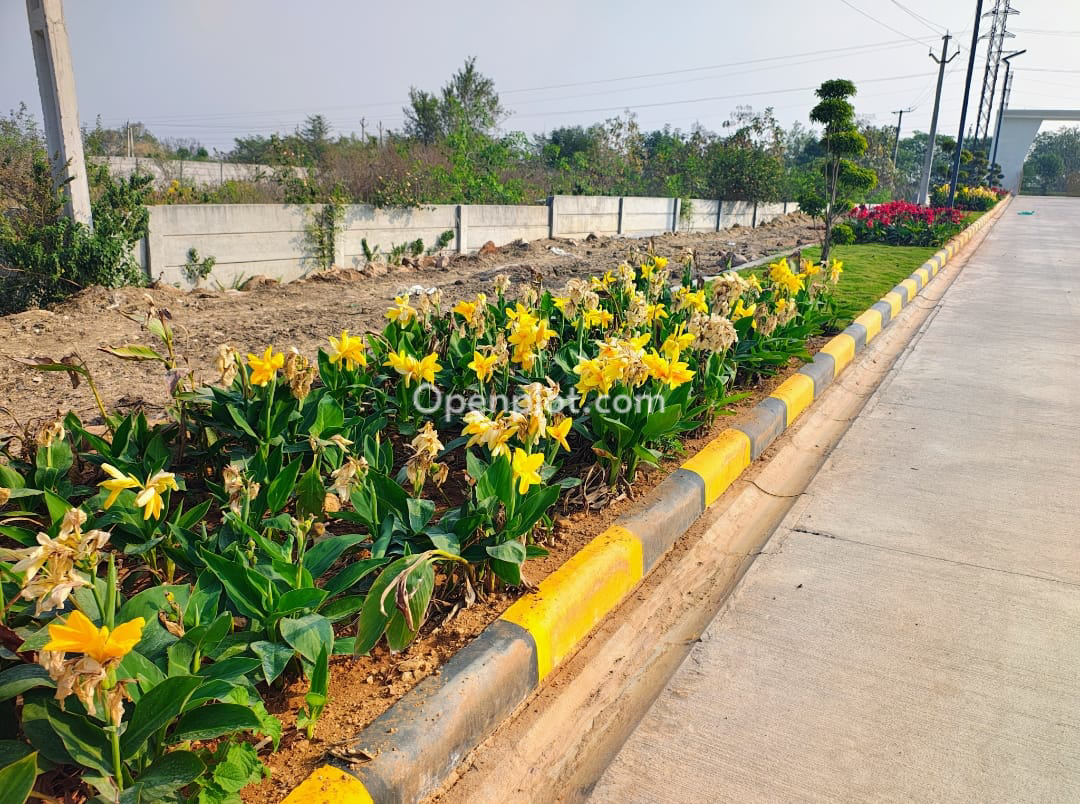 Plot for Sale in Kandi,Sangareddy
