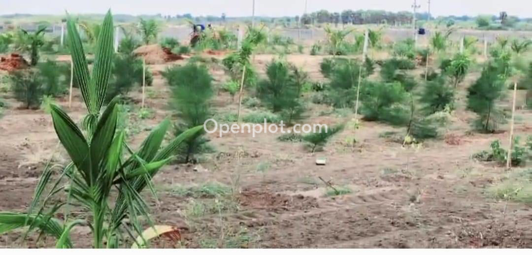 Venture for Sale in Bibinagar,Yadadri Bhuvanagiri