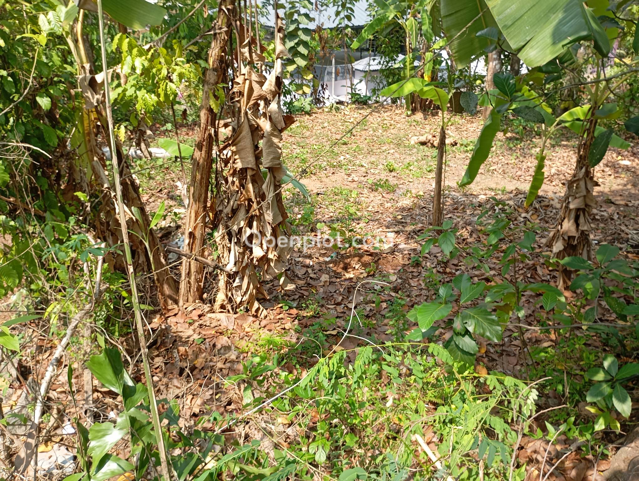 Land for Sale in Manjady Jn,Pathanamthitta
