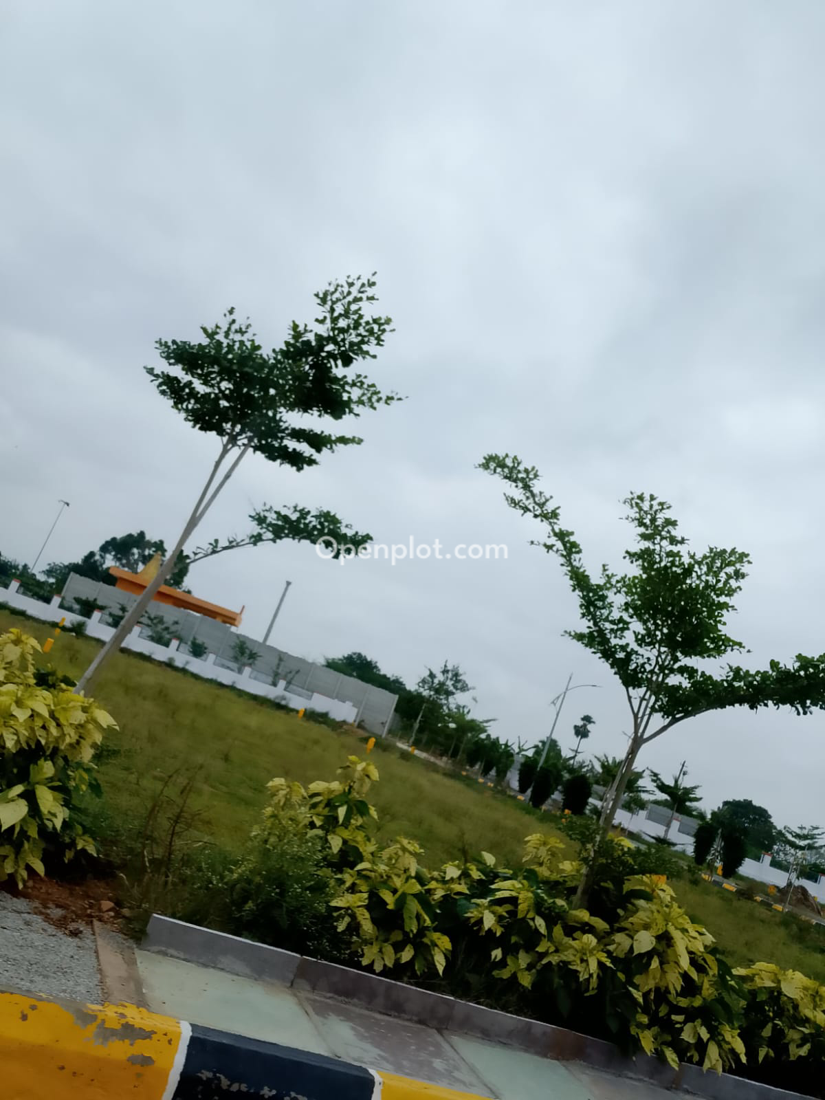 Plot for Sale in Shamshabad,Ranga Reddy