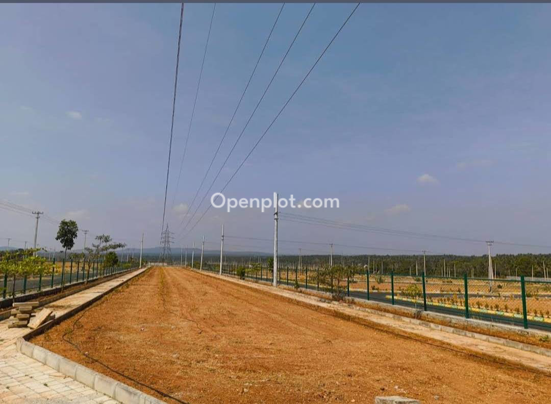 Plot for Sale in Channarayapatna,Hassan