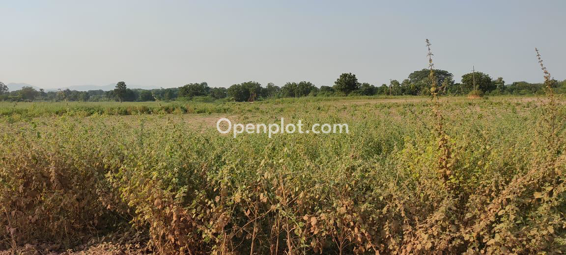 Plot for Sale in Mancherial Bazar,Mancherial