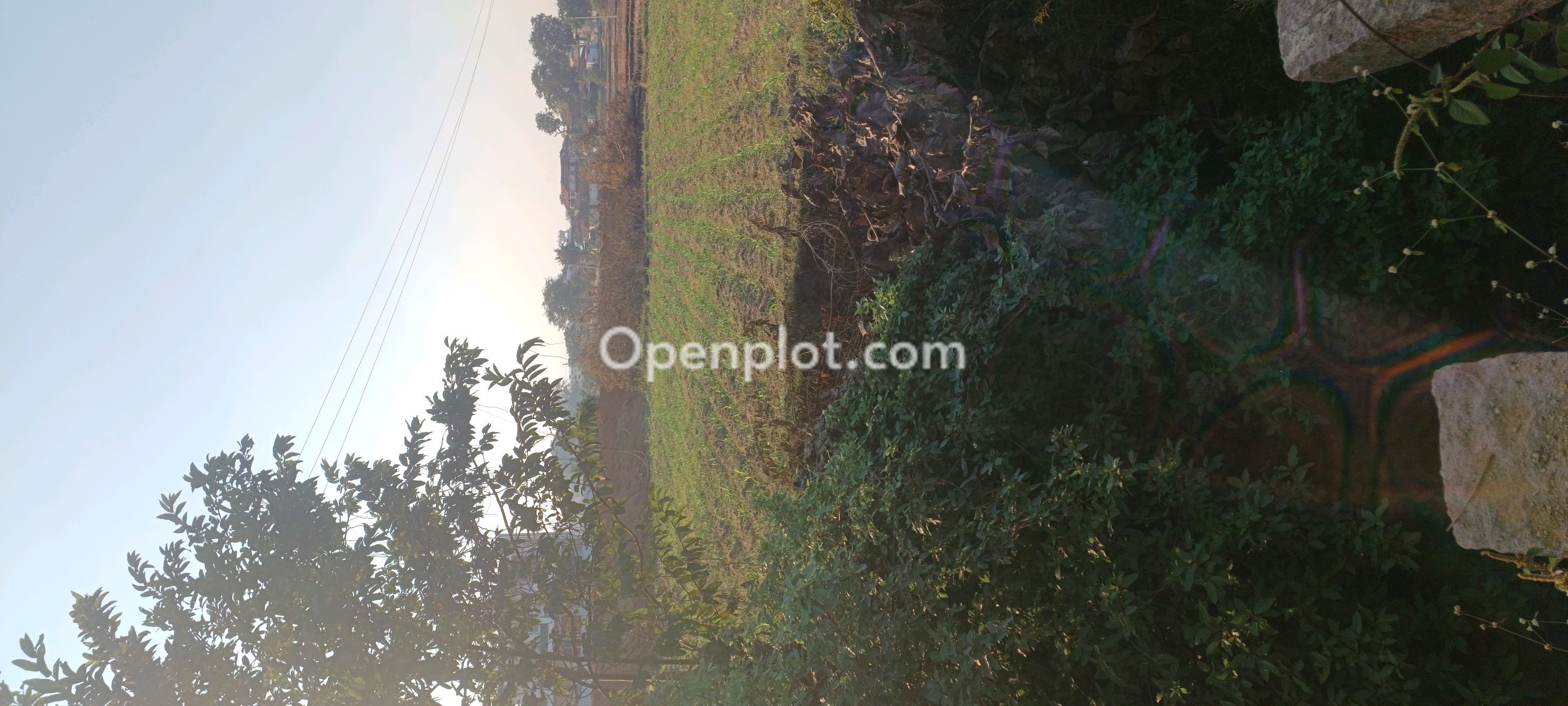 Land for Sale in Thippapur,Kamareddy