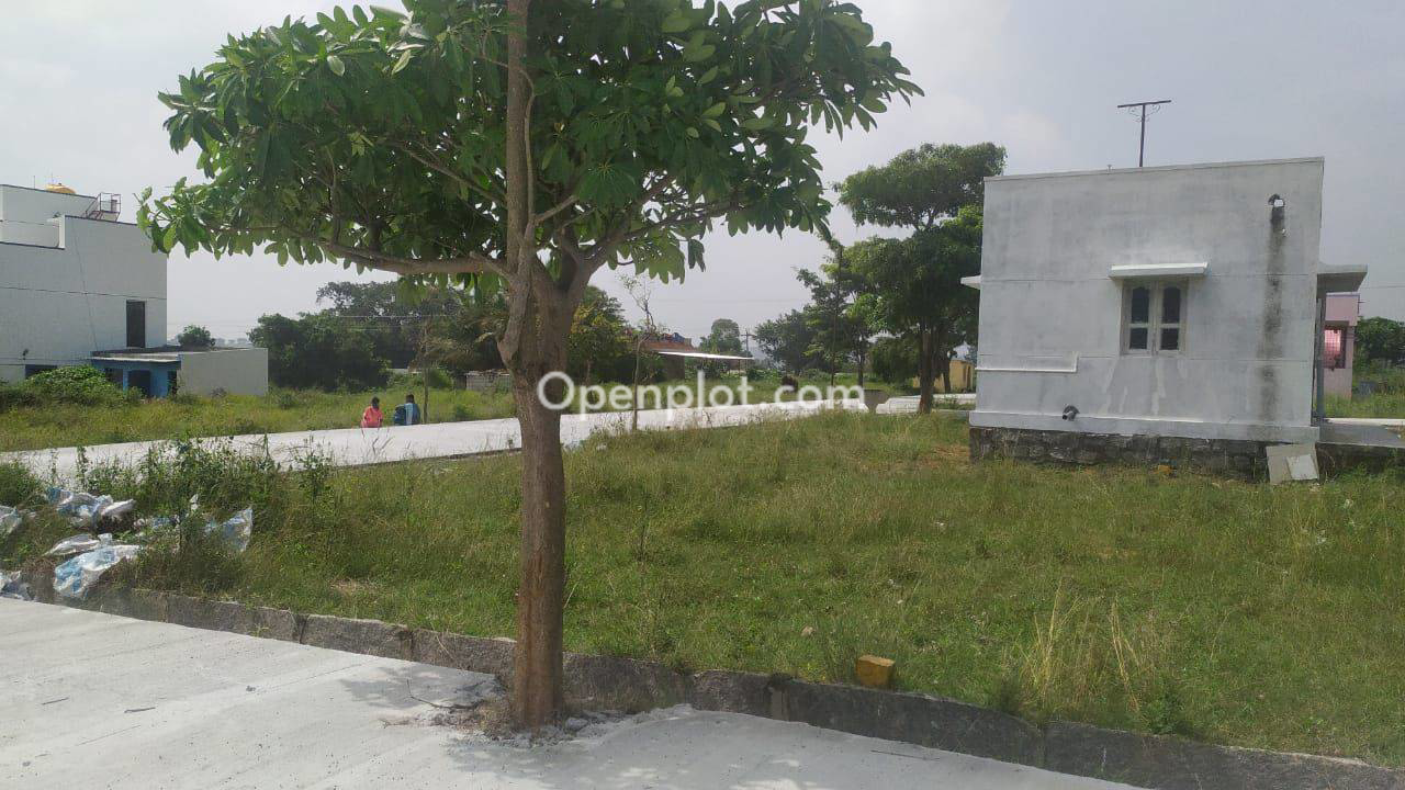 Plot for Sale in Hosur East,Krishnagiri