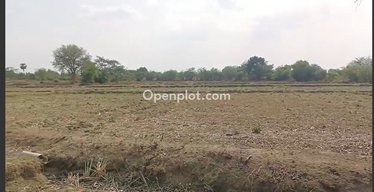 Land for Sale in Shivampet,Sangareddy