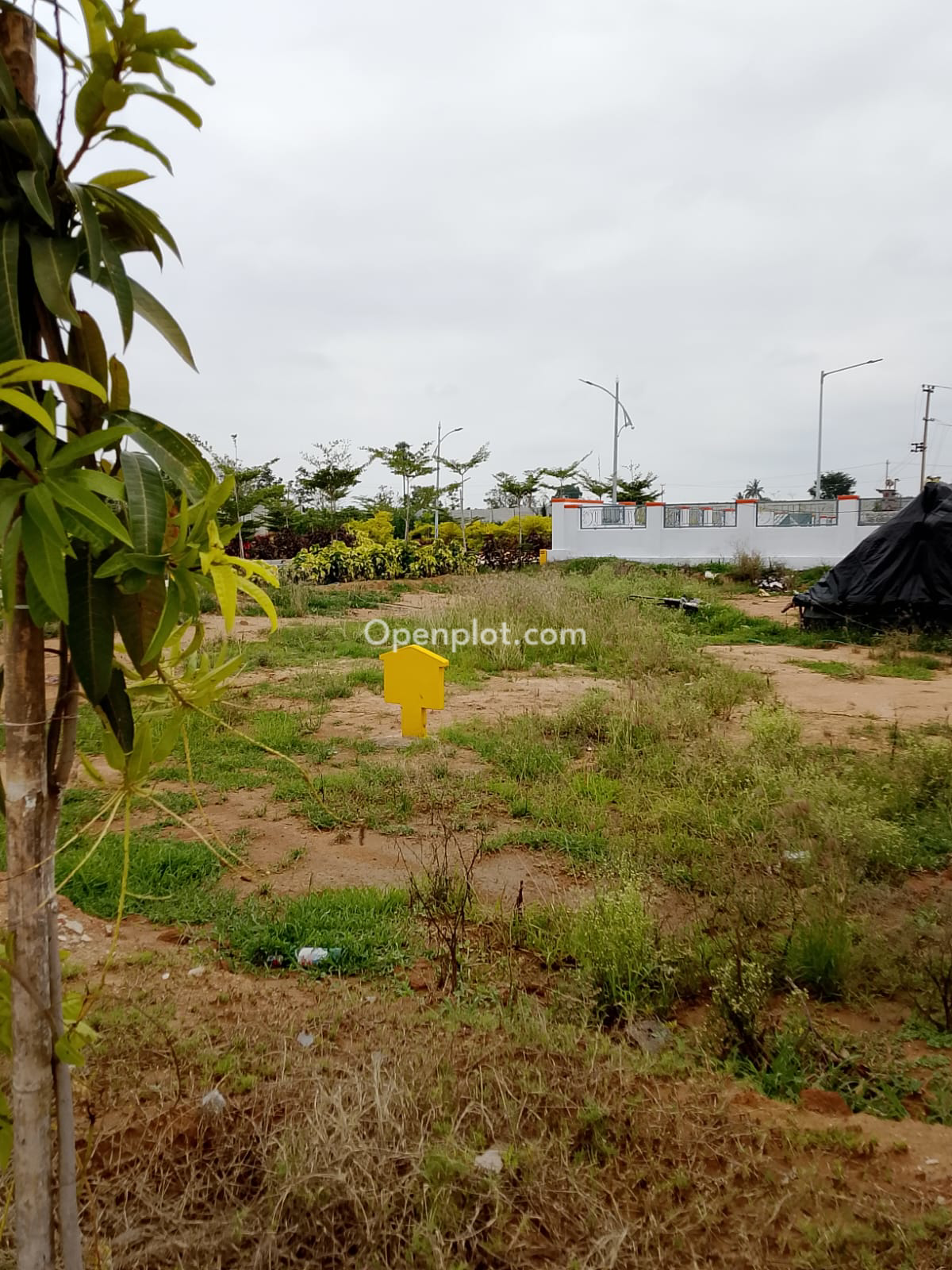 Plot for Sale in Shamshabad,Ranga Reddy