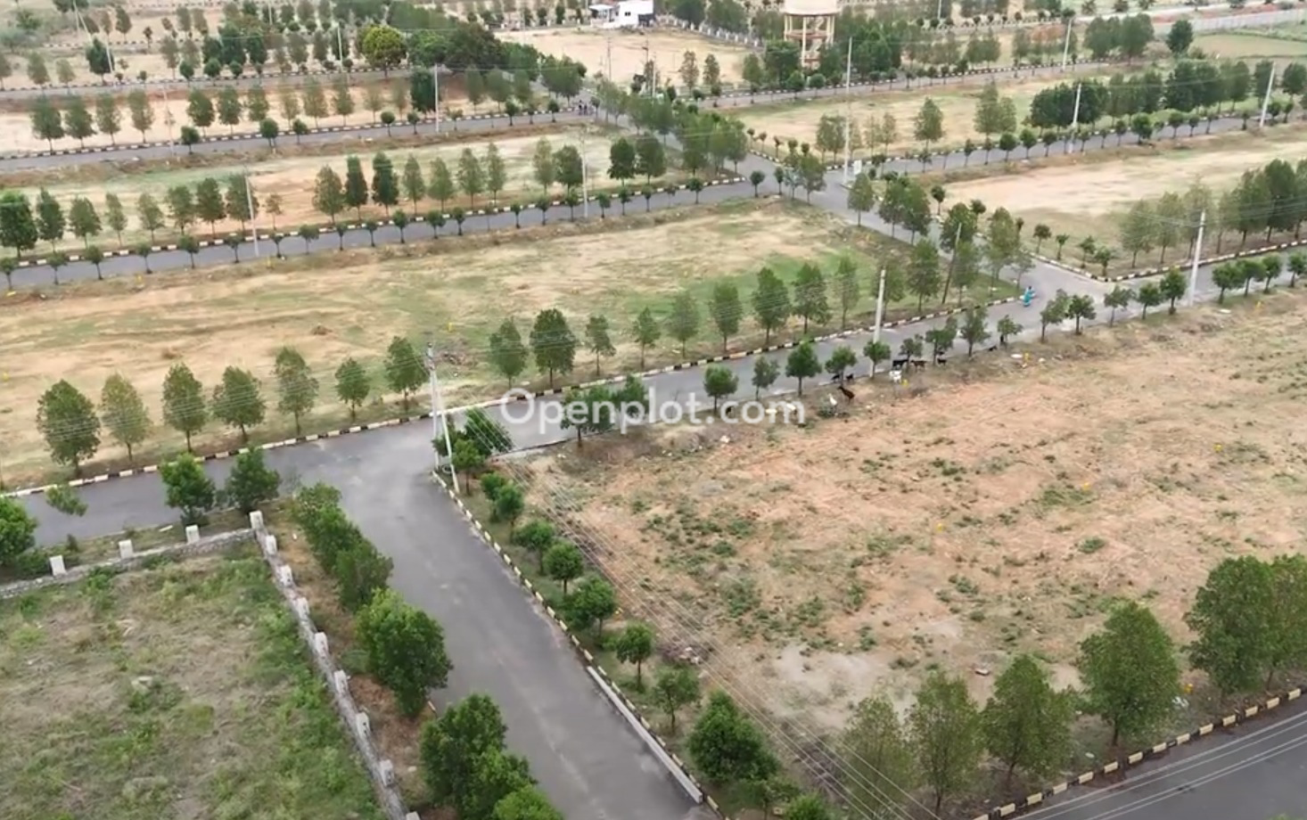 Plot for Sale in Yacharam,Ranga Reddy