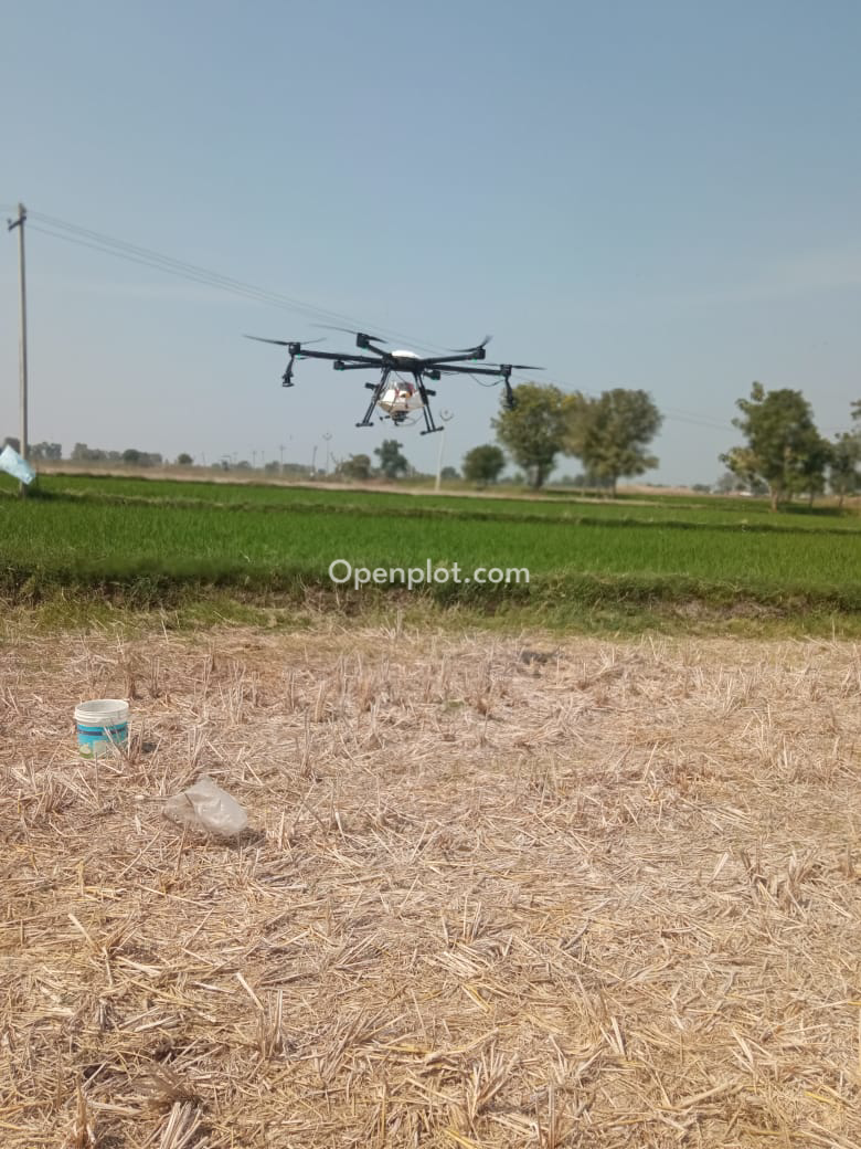 Land for Sale in Nookalamarri,Rajanna Sircilla