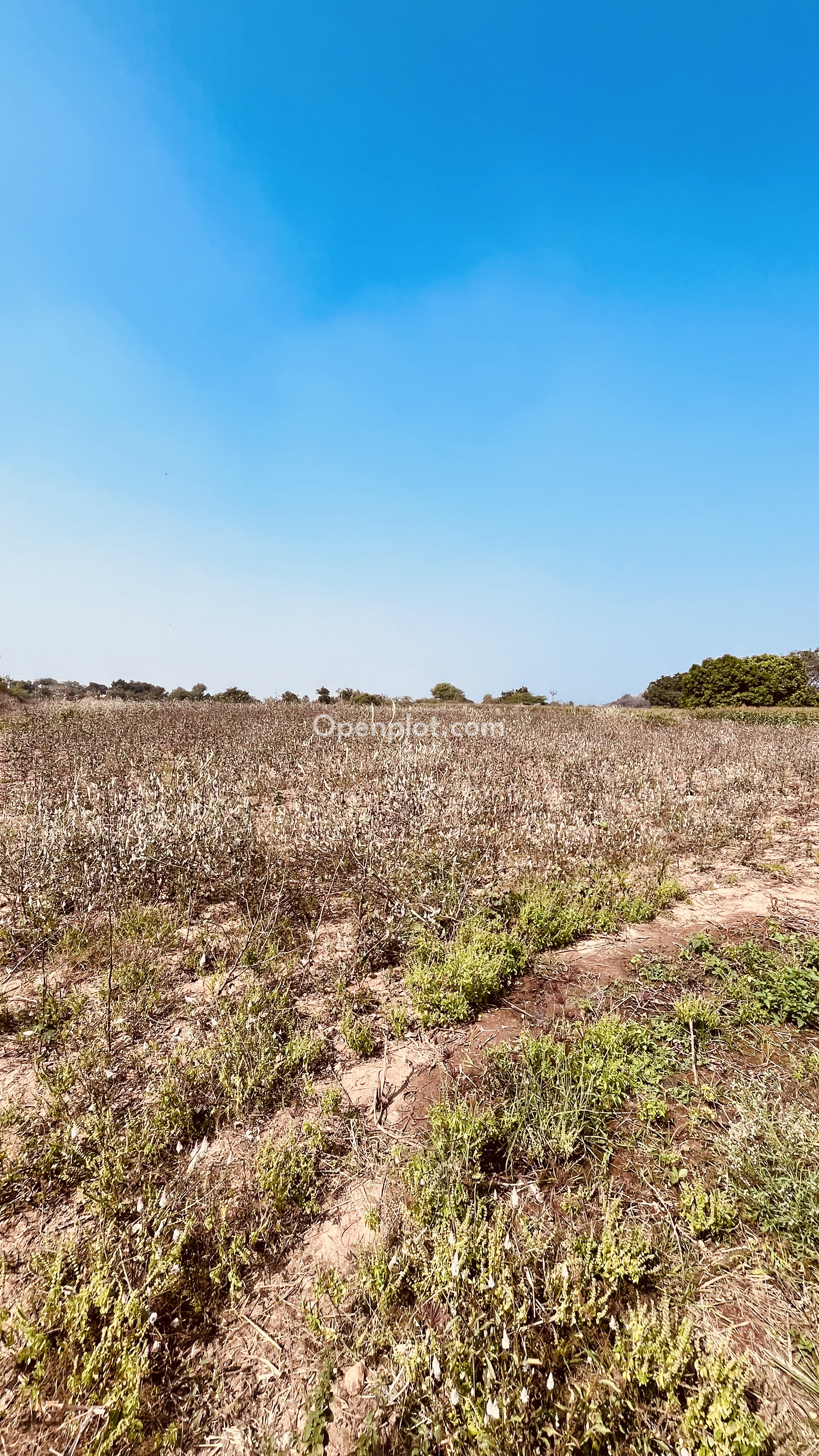 Land for Sale in Yelkurthy,Hanumakonda