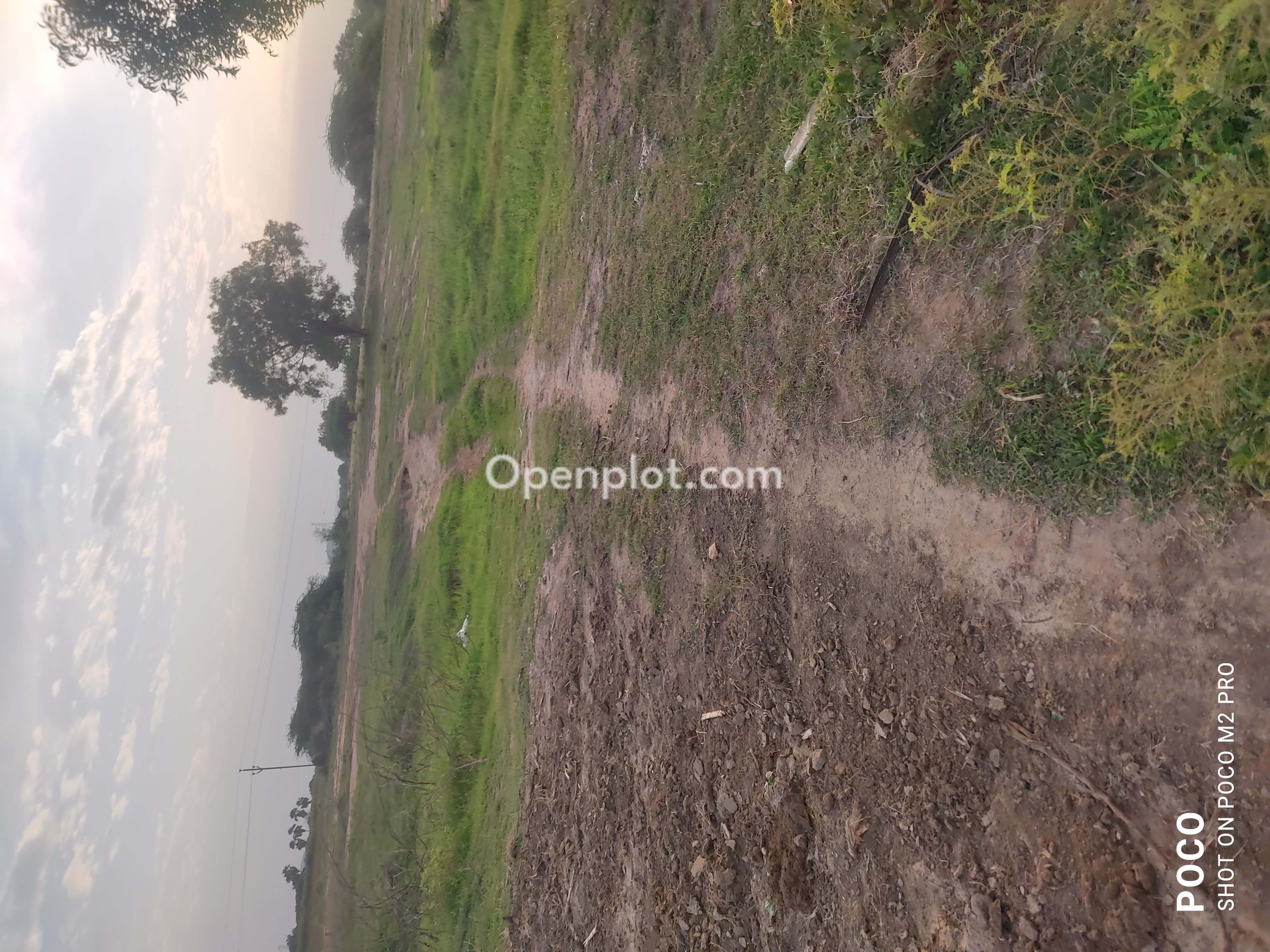 Land for Sale in Jangaon,Jangoan