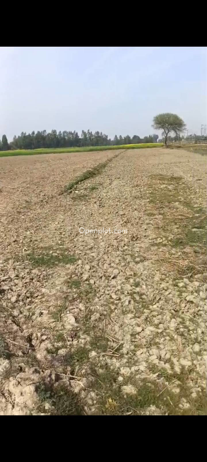 Land for Sale in Mohanlalganj,Lucknow