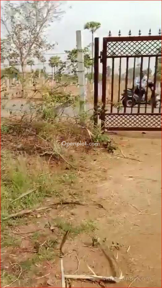 Land for Sale in Ramoji Film City,Ranga Reddy