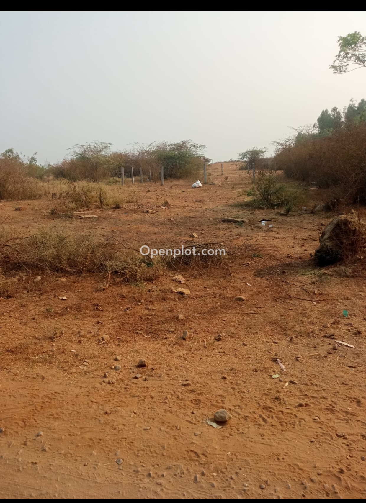 Venture for Sale in Burgampahad,Bhadradri Kothagudem