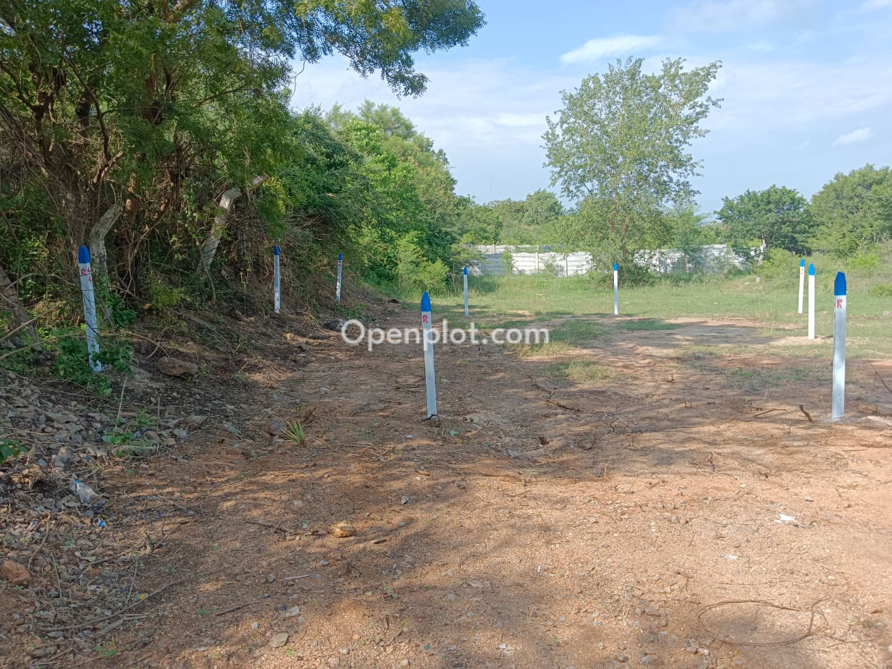 Plot for Sale in Pochampalli,Yadadri Bhuvanagiri