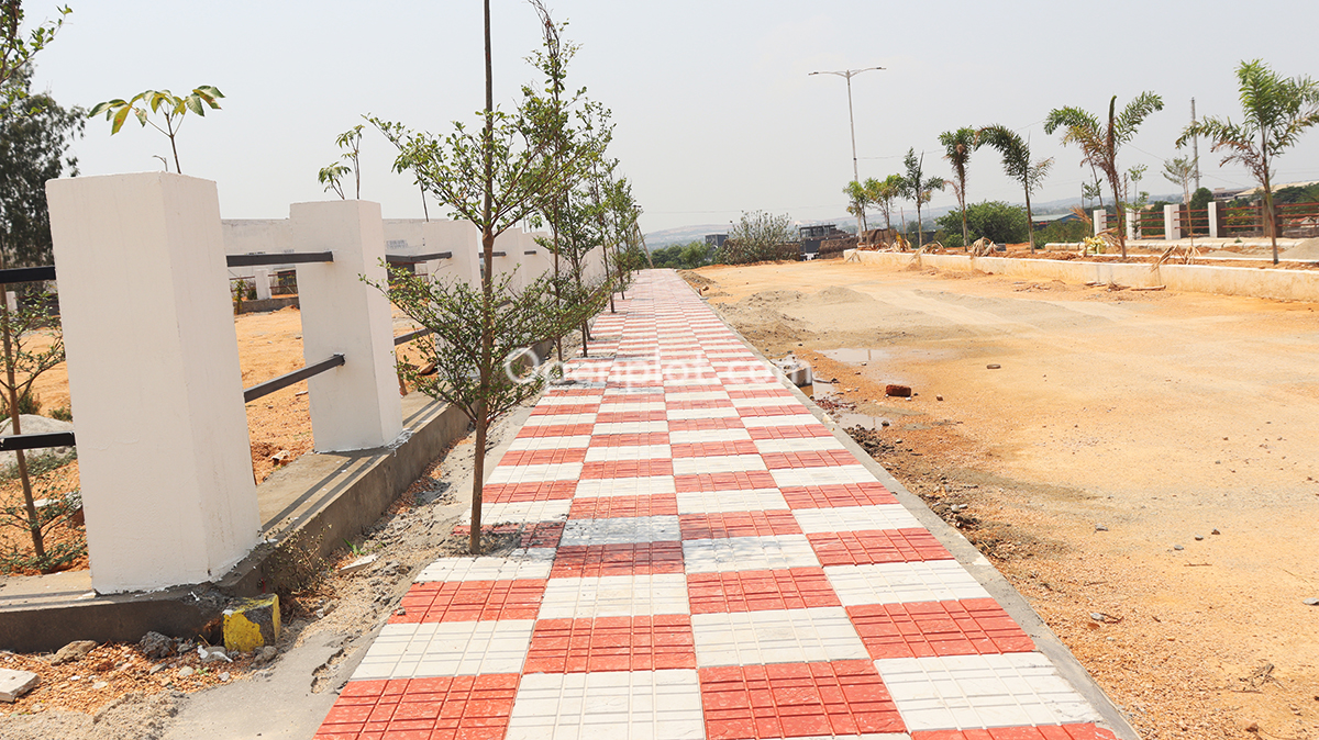 Plot for Sale in State Bank Of Hyderabad,Hyderabad