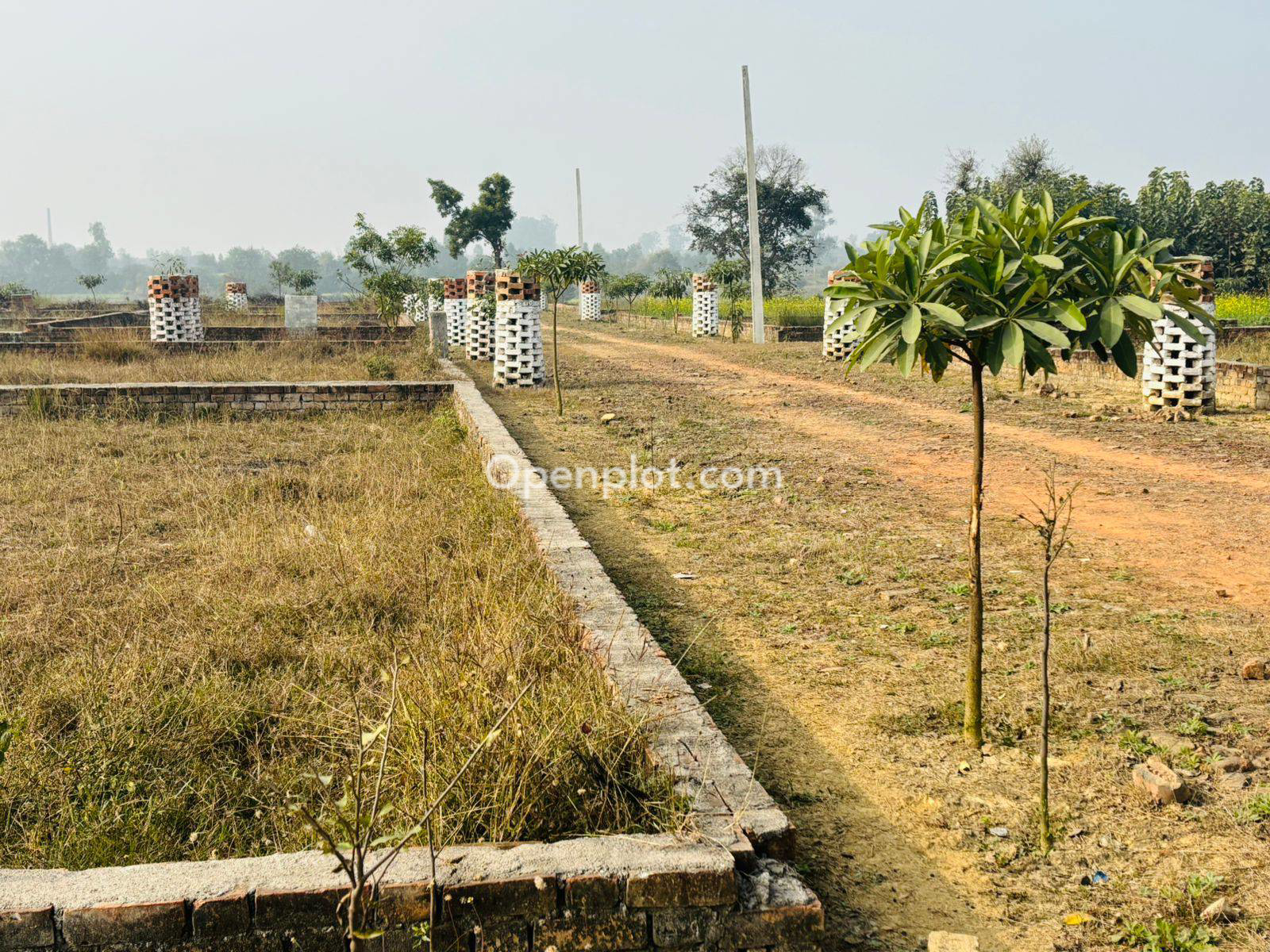 Plot for Sale in Begariya Mau ,Lucknow