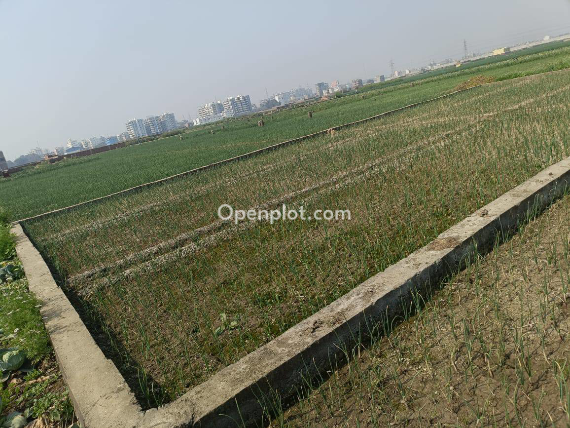 Land for Sale in Bairia ,Patna